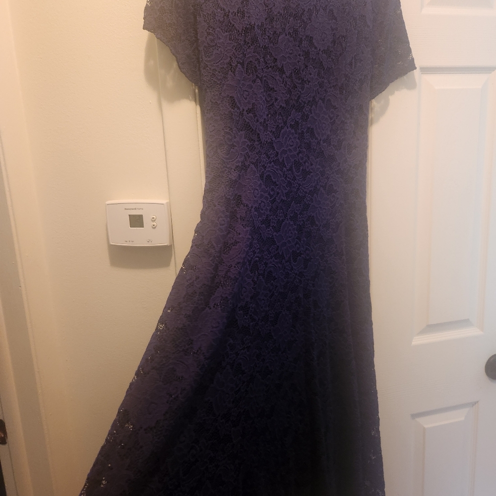 Perceptions Deep Purple Lace Dress